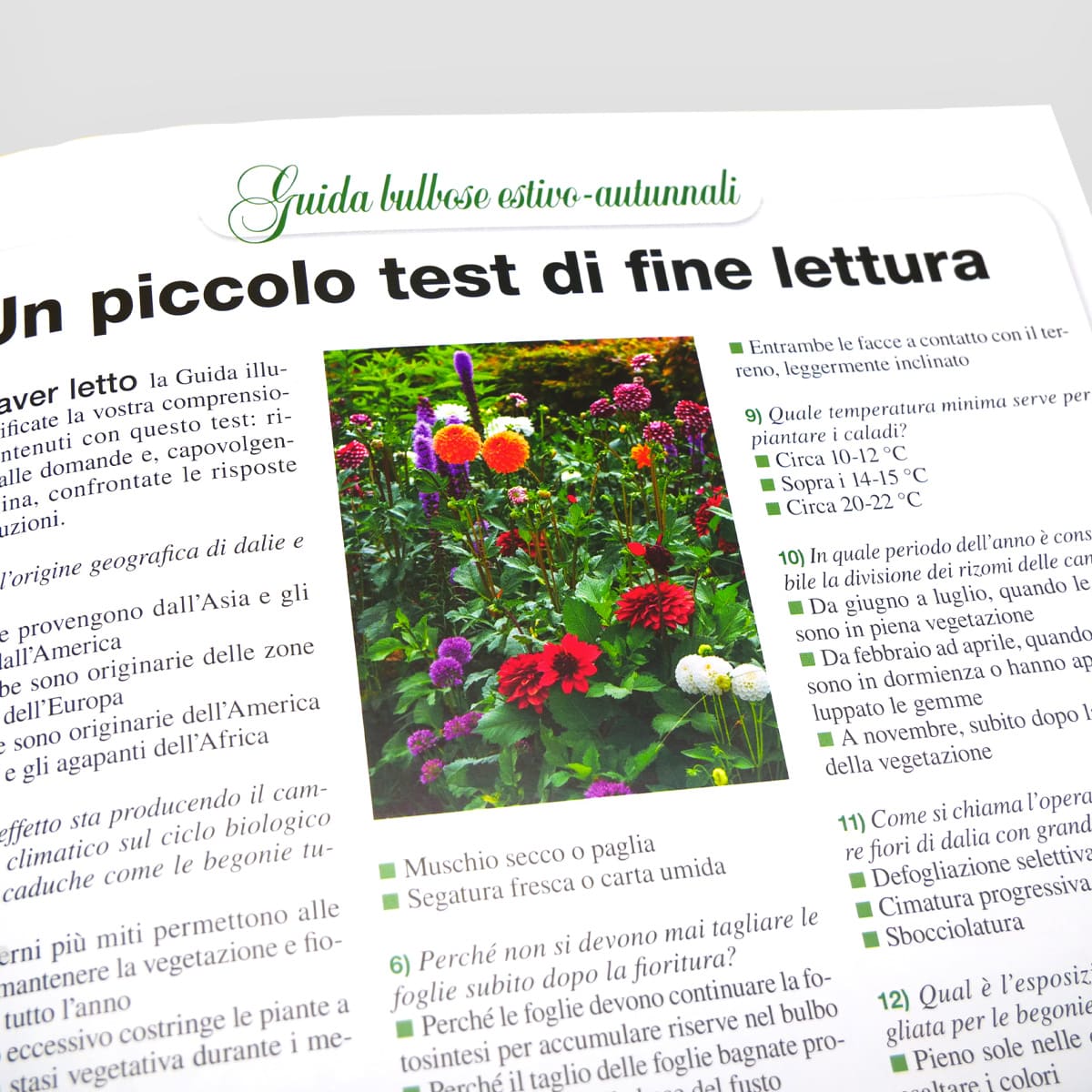 MAD Guide Illustrate Bulbose estivo-autunnali guida giardino