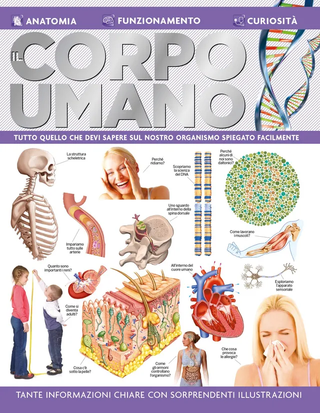 Sprea Speciali d'approfondimento Il Corpo Umano rivista numero singolo