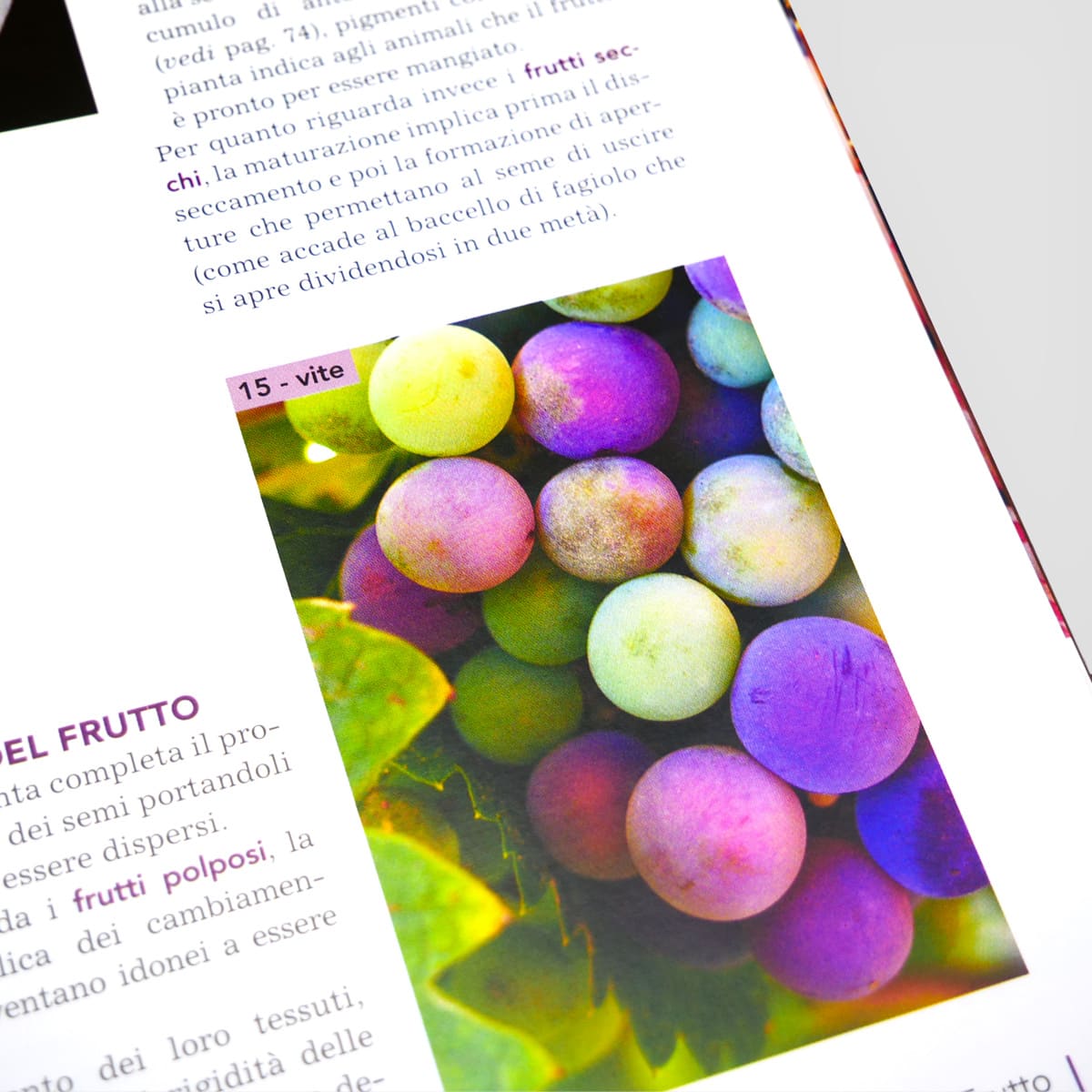 MAD Giardinaggio Conoscere le piante libro coltivazione sostenibile