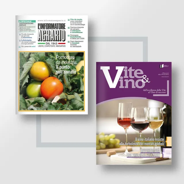 Mad Abbonamenti Pacchetto Pro Vigna abbonamento digitale incluso