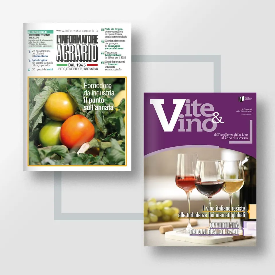 Mad Abbonamenti Pacchetto Pro Vigna abbonamento digitale incluso