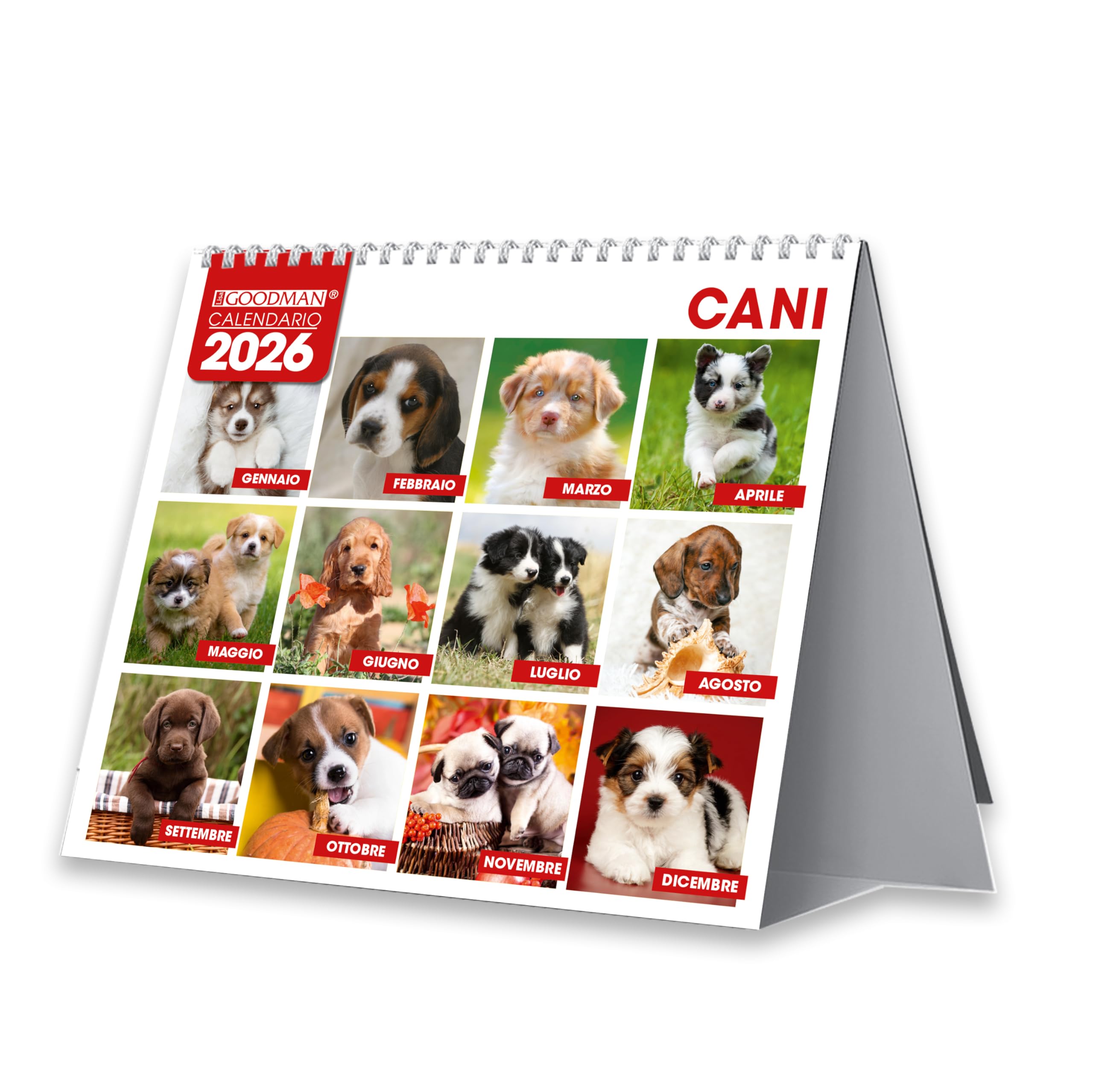 Sprea Cani 2026 calendario da tavolo fotografico 16,5x15
