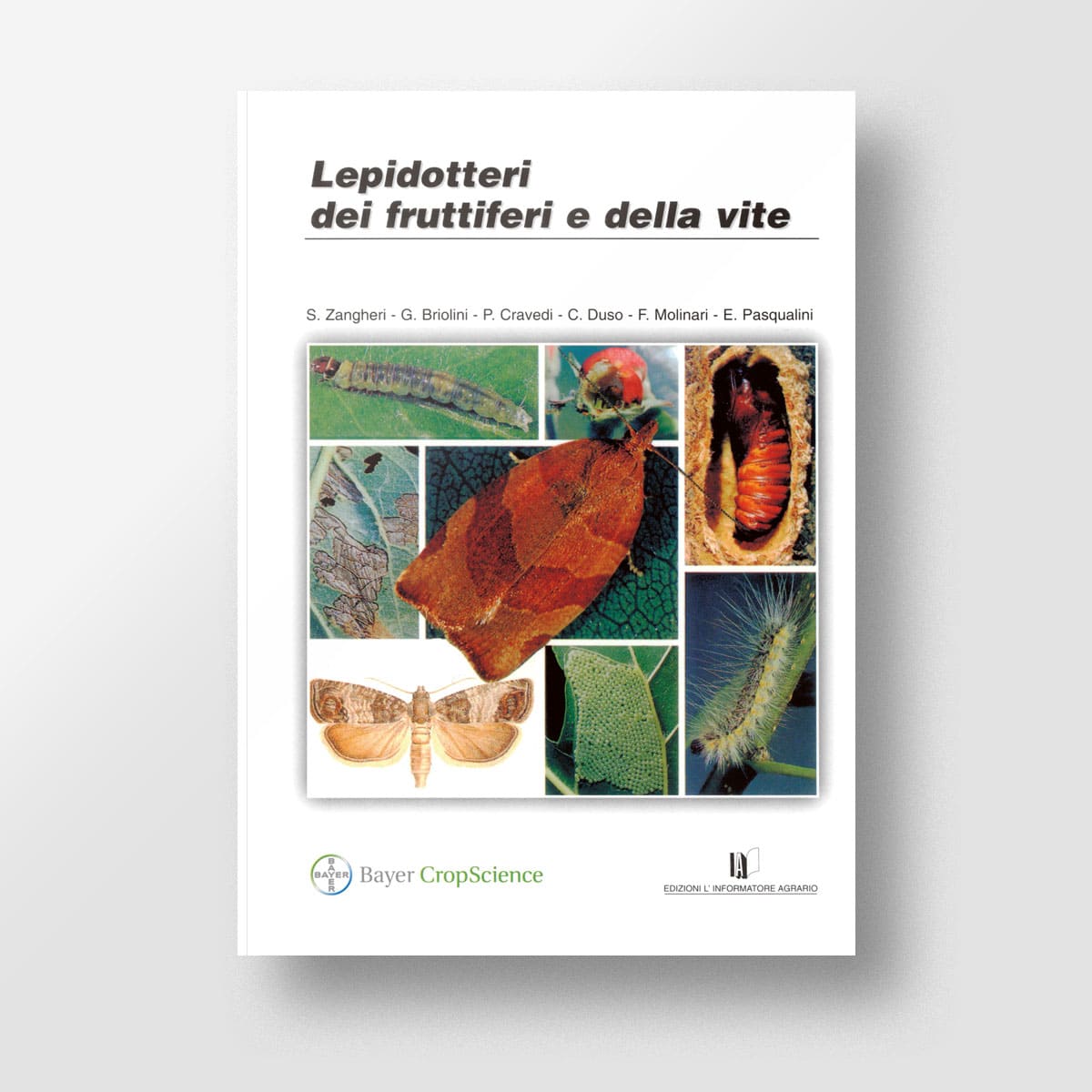 Mad Difesa Lepidotteri dei fruttiferi e della vite libro 540 foto