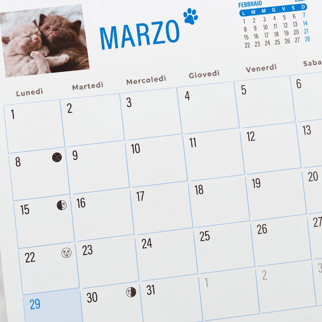 Sprea Gatti 2027 calendario da tavolo fotografico 16,5x15