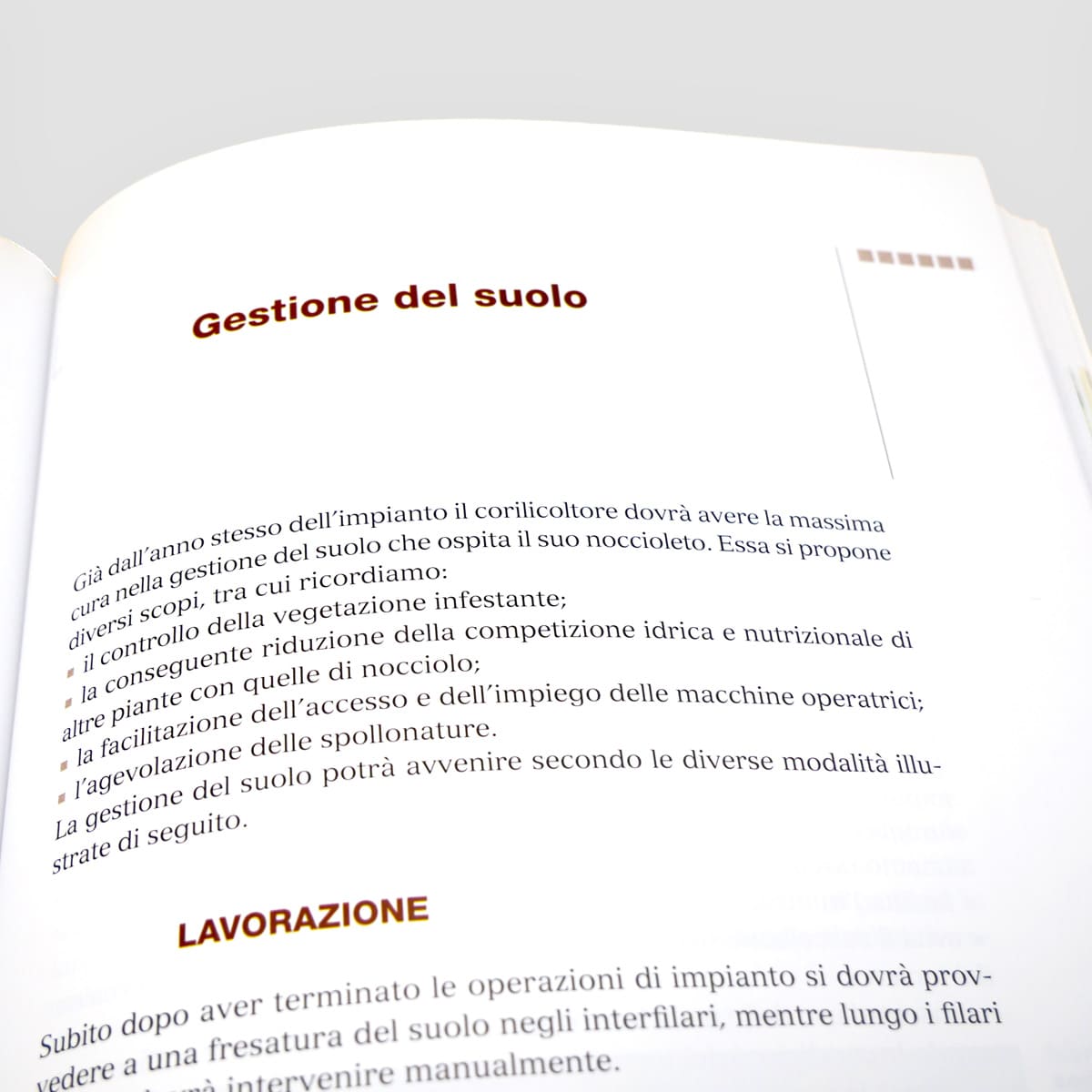 Mad Frutticoltura Coltivare il nocciolo libro corileto da reddito