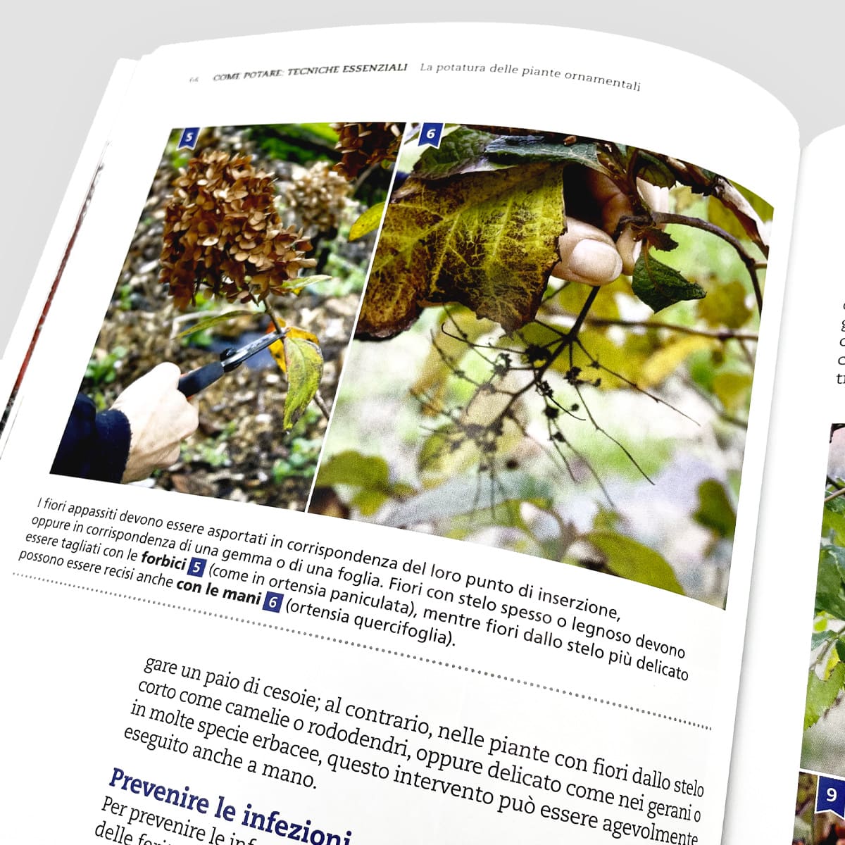 MAD Giardinaggio Potatura piante ornamentali libro ortensie e rose