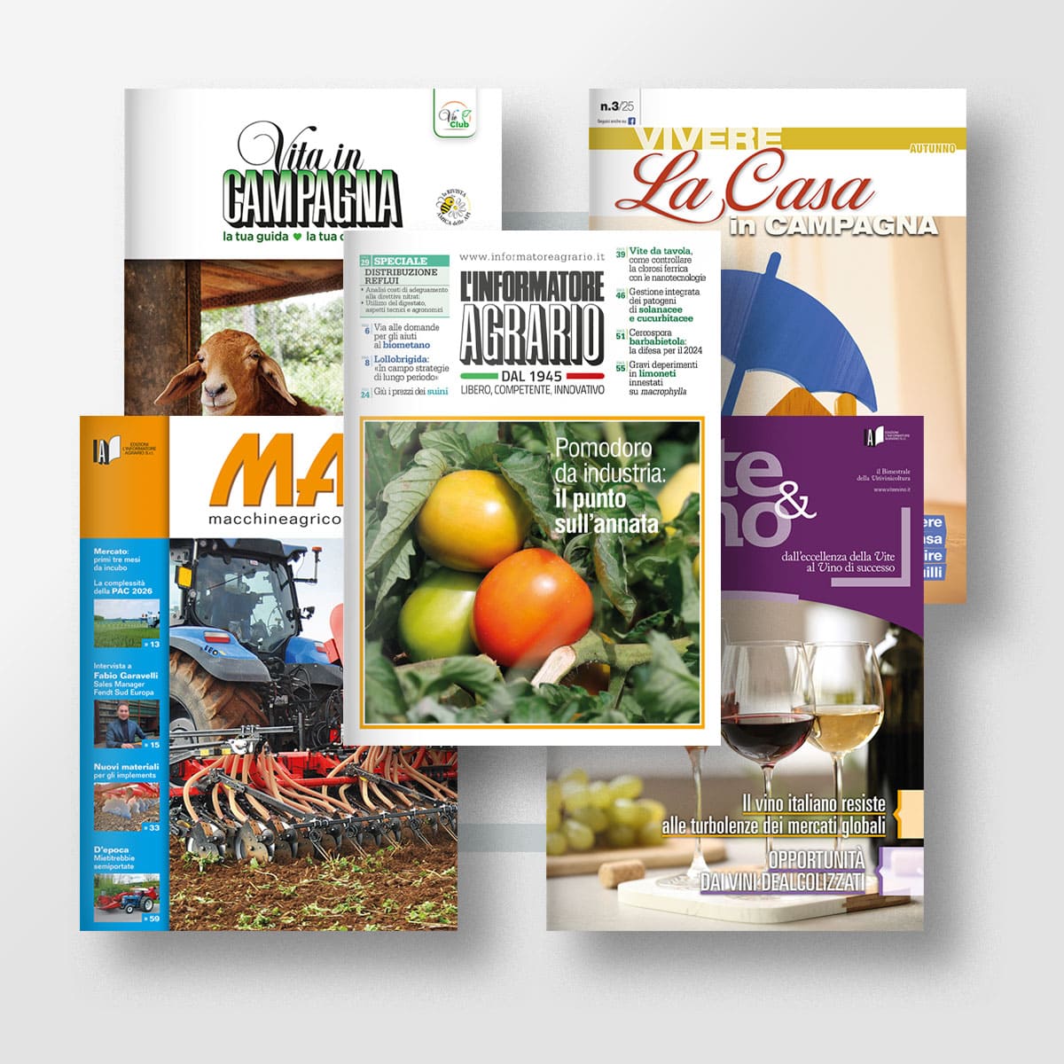 MAD Abbonamenti Pacchetto Full Suite abbonamento 5 riviste