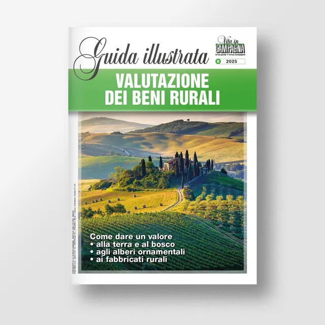 Mad Economia Valutazione dei beni rurali libro estimo