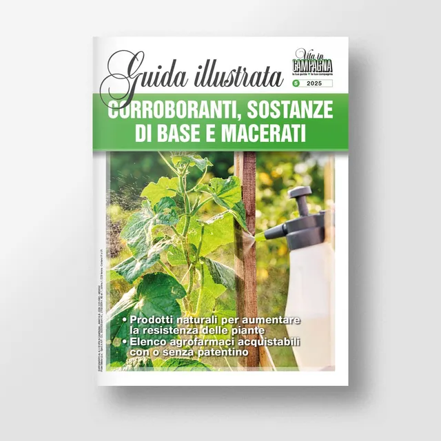 Mad Difesa Corroboranti sostanze di base guida illustrata
