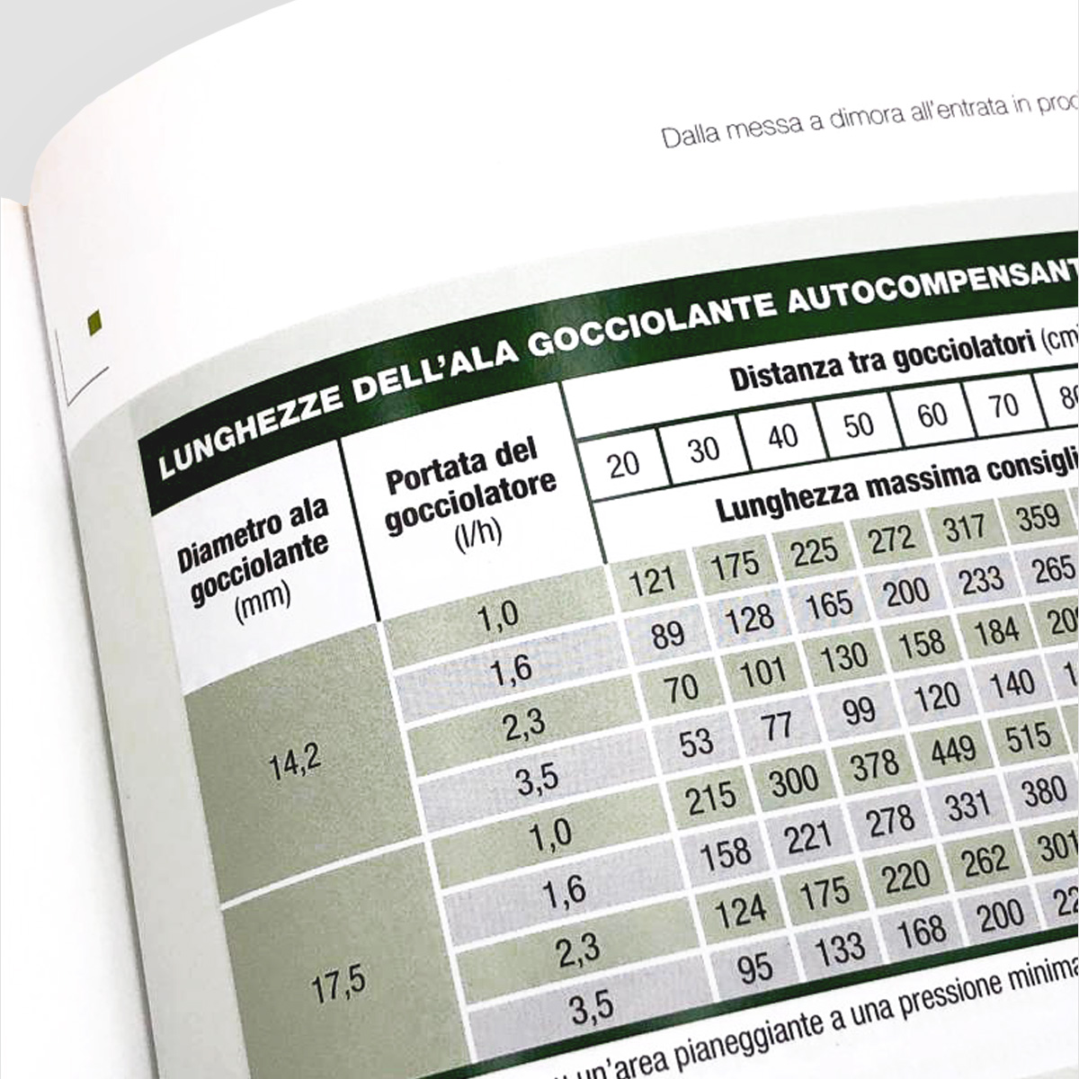 MAD Viticoltura Vite Impianto del vigneto manuale viticoltori