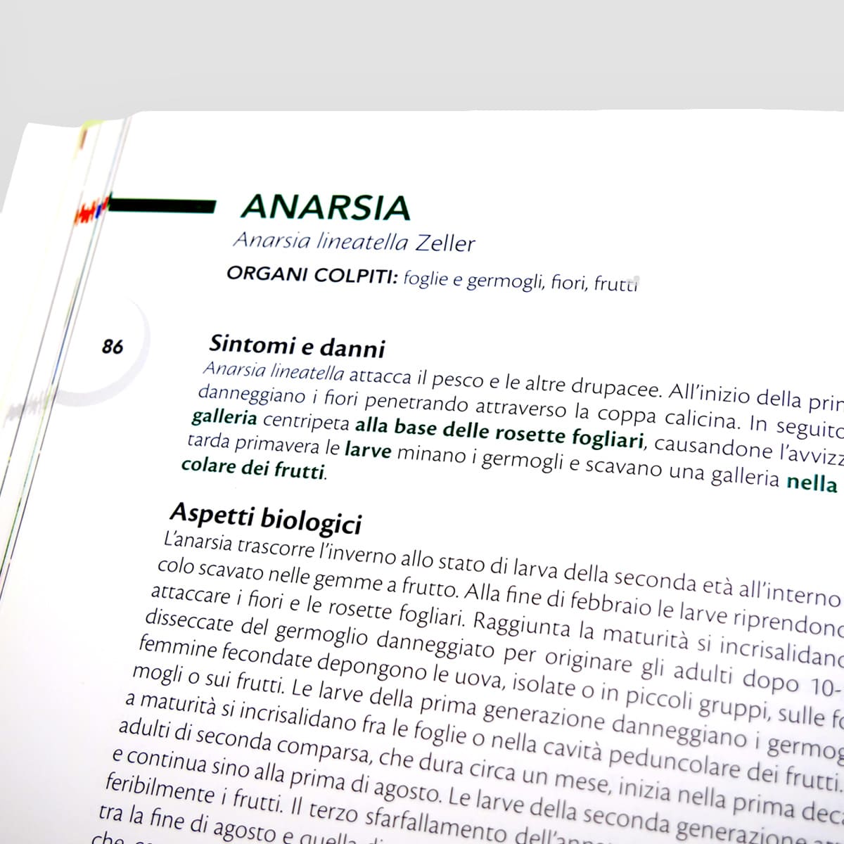 MAD Difesa Pesco Albicocco Ciliegio Susino Manuale Numero Singolo