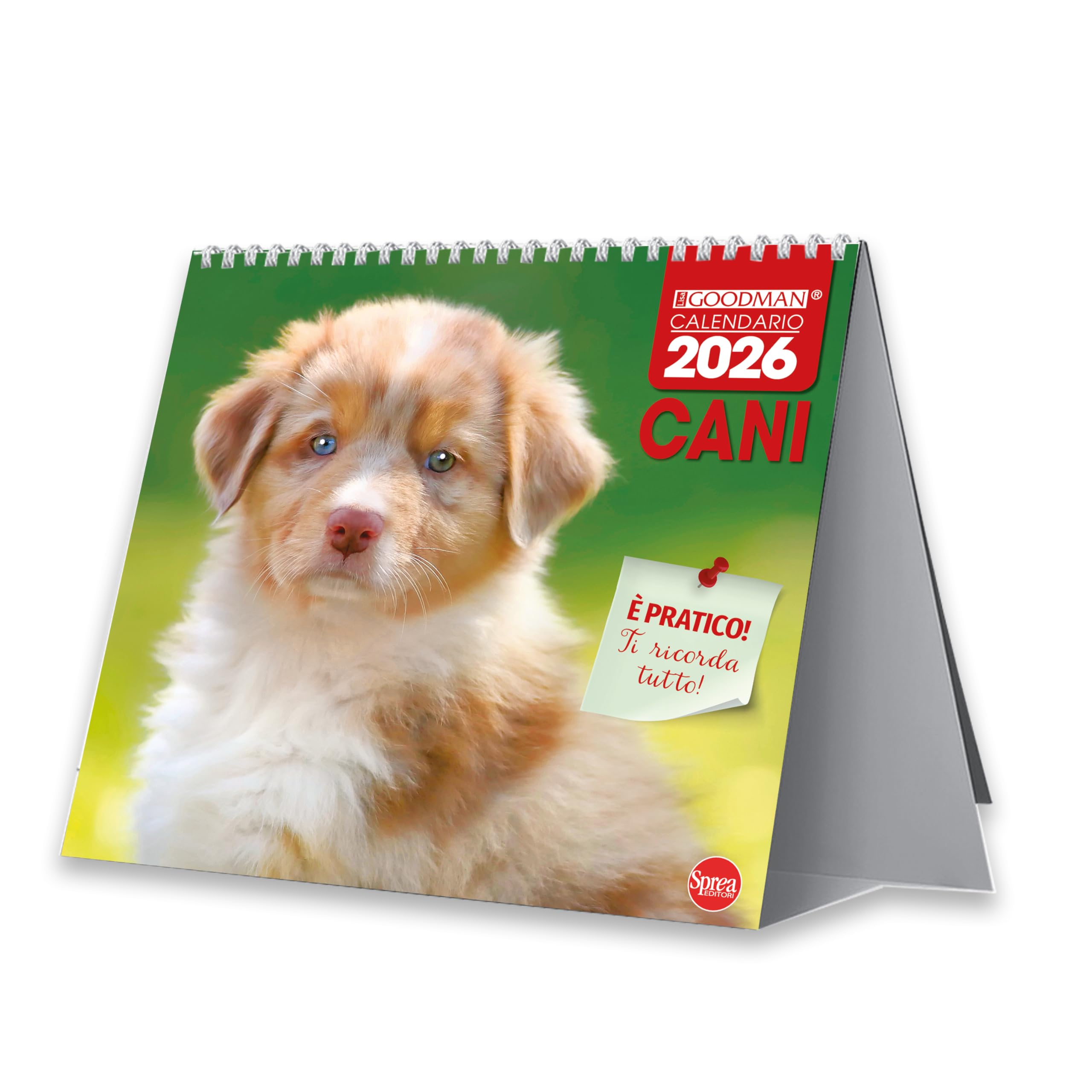 Sprea Cani 2026 calendario da tavolo fotografico 16,5x15