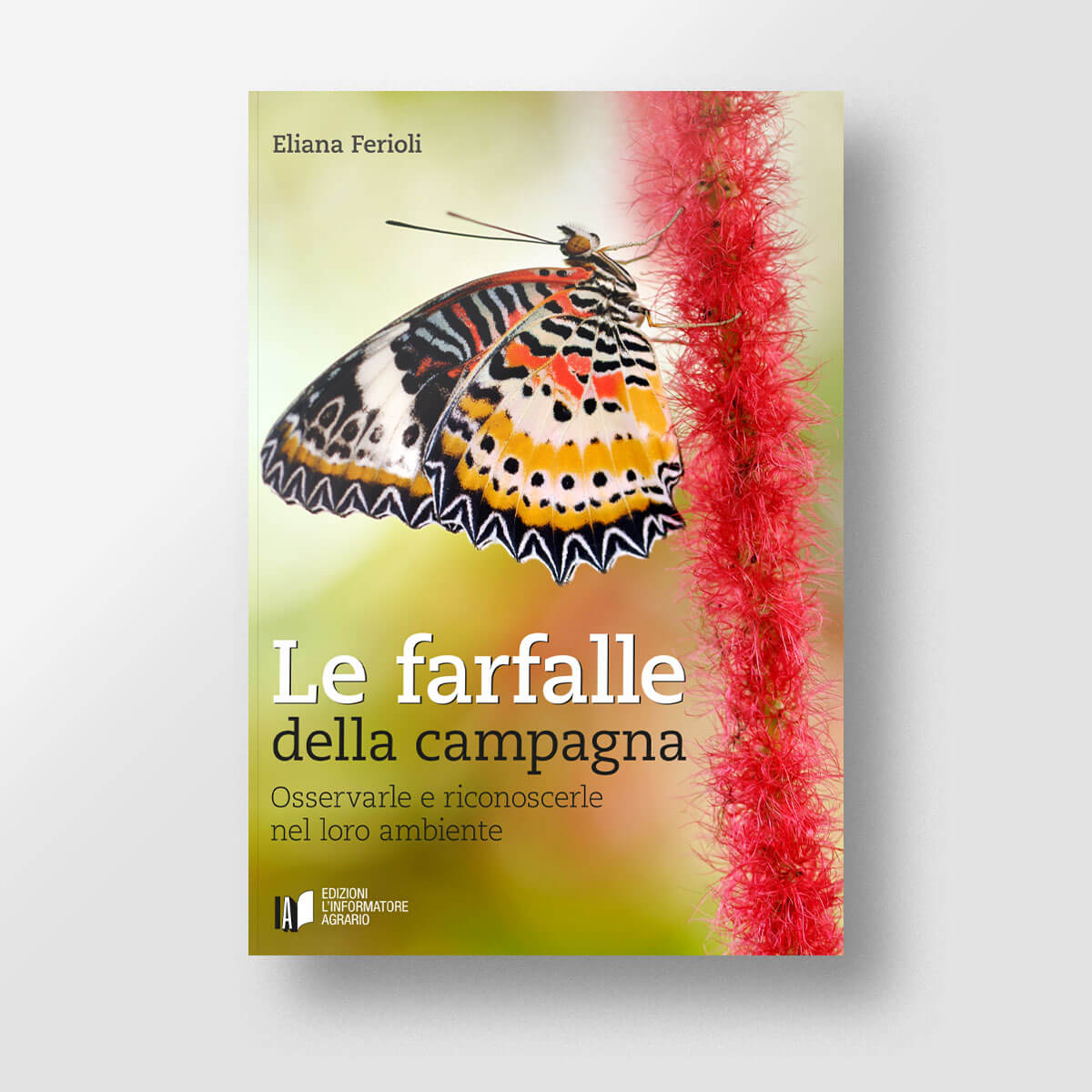 Mad Ambiente Le farfalle della campagna libro farfalle