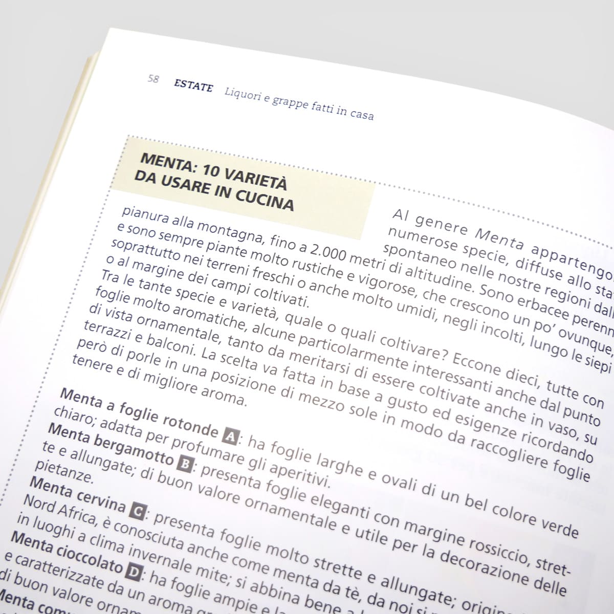 MAD Cucina Liquori e grappe fatti in casa libro ricette