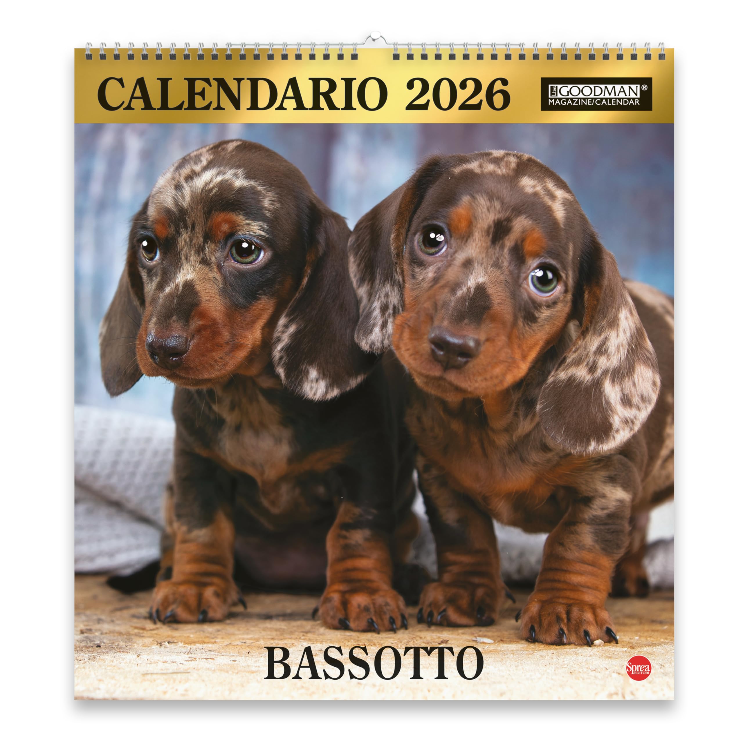 Sprea Bassotti Magnum 2026 calendario da parete consigli