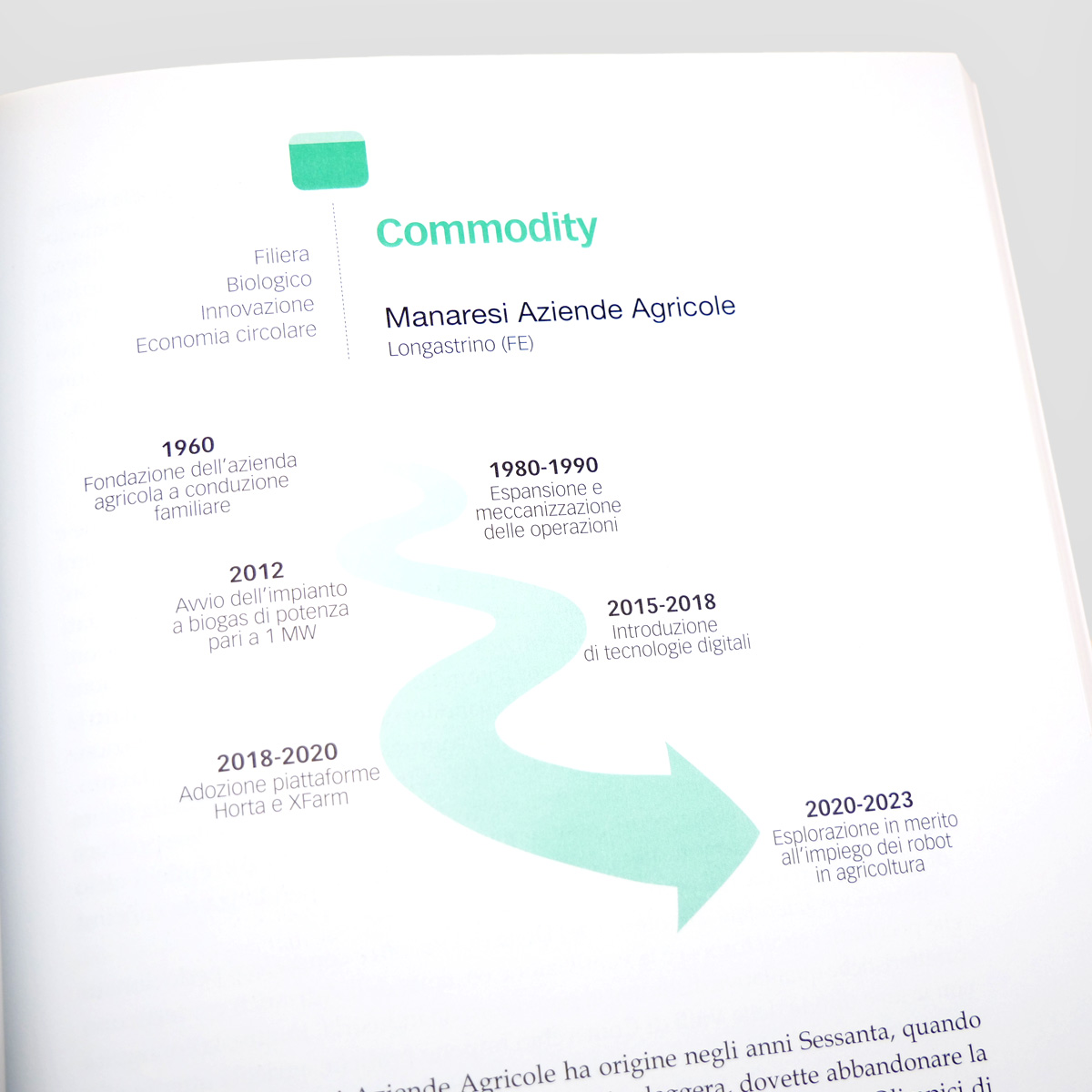 Mad Economia Fare reddito in agricoltura libro impresa agricola