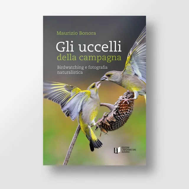 Mad Ambiente Gli uccelli della campagna libro fotografia