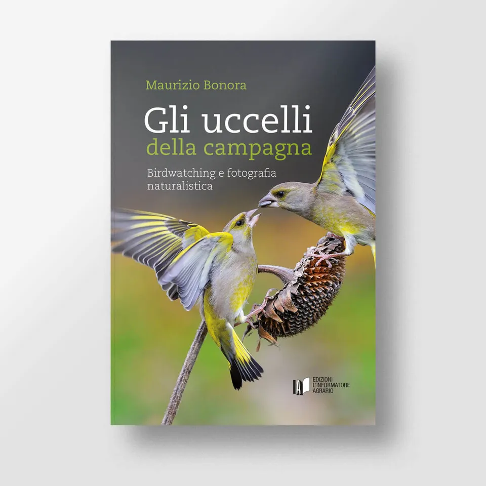 Mad Ambiente Gli uccelli della campagna libro fotografia