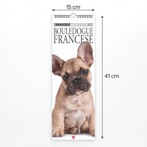 Sprea Bouledogue Francese Long 2027 calendario da parete 14,6x40,8