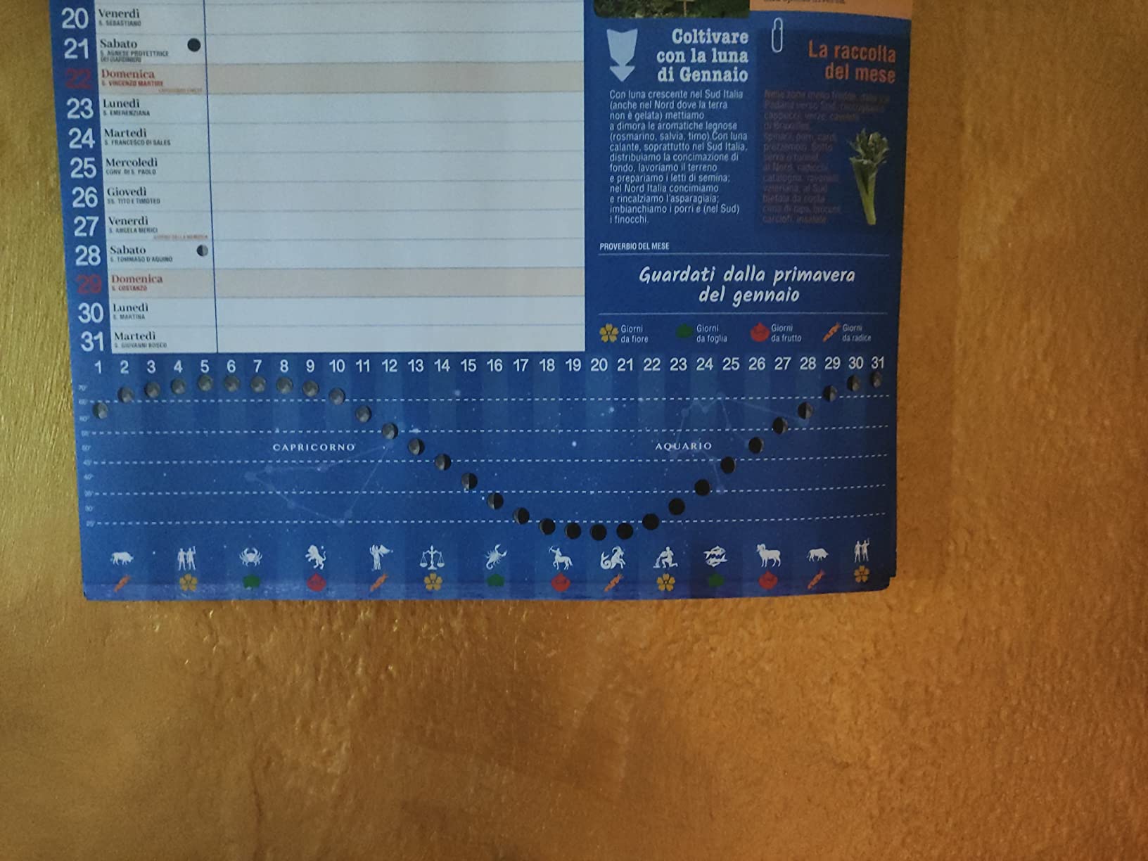 Sprea Lunario 2027 calendario-agenda da parete orto 30x42,5 cm