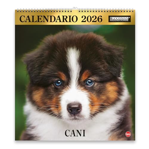 Sprea Cani Magnum 2026 calendario da parete foto razze