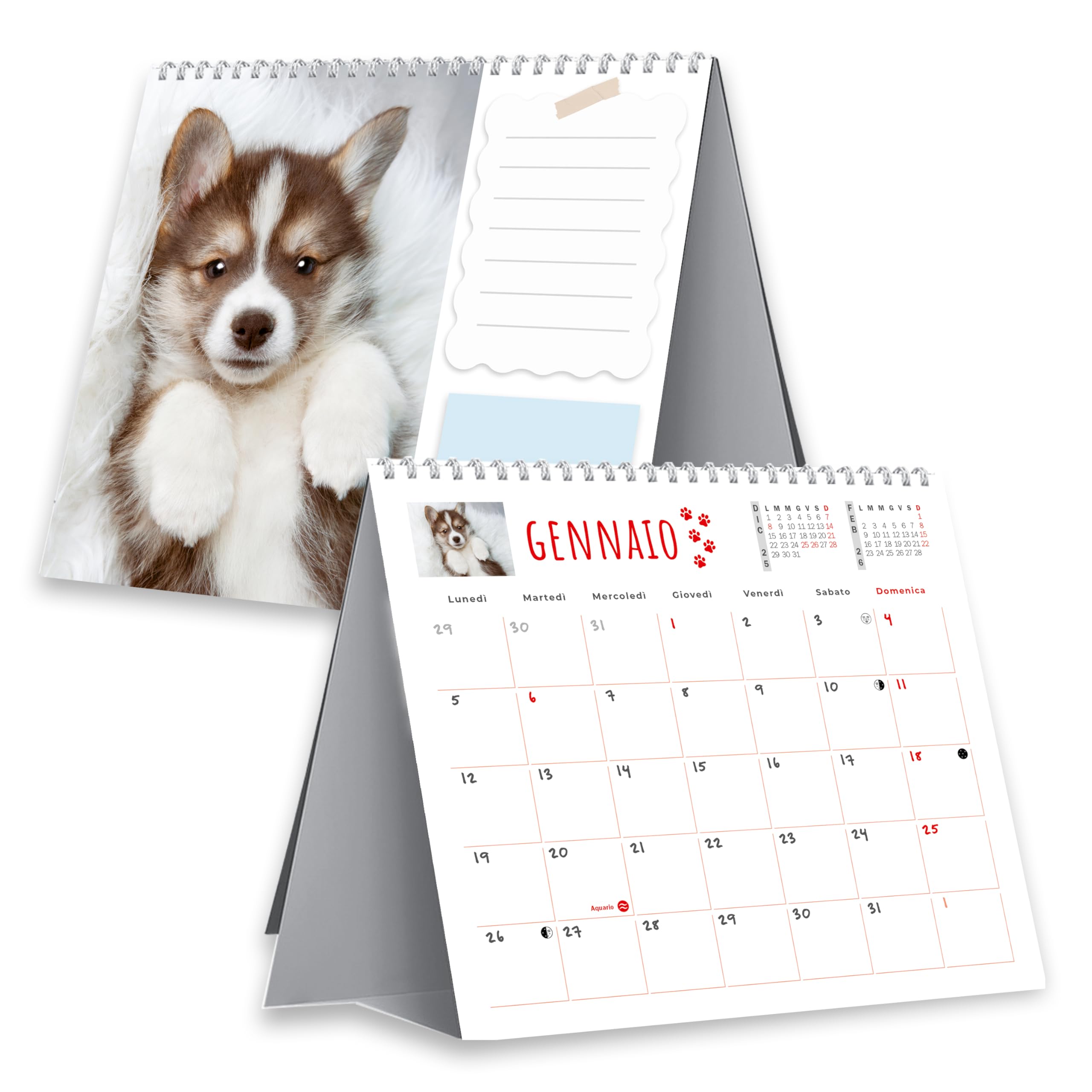 Sprea Cani 2026 calendario da tavolo fotografico 16,5x15
