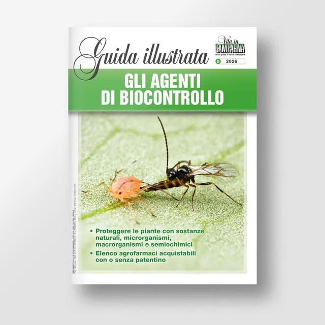 MAD Difesa Gli agenti di biocontrollo guida biologica
