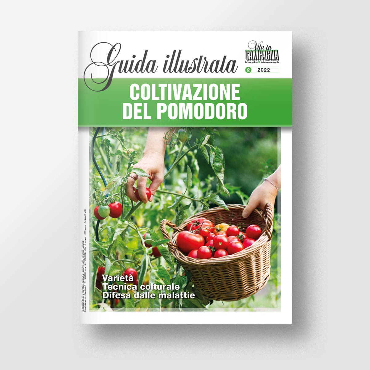 Mad Orticoltura Coltivazione del pomodoro guida numero singolo