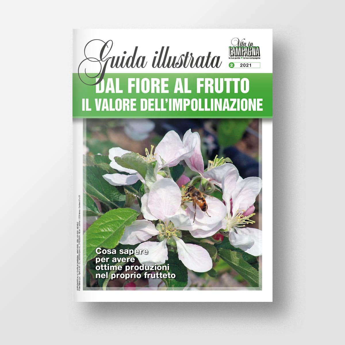 Mad Guide Illustrate Dal fiore al frutto guida numero singolo