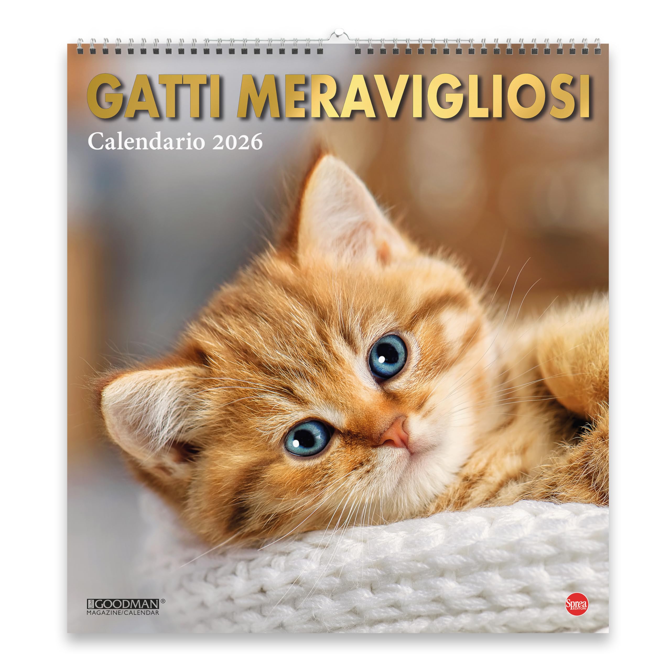 Sprea Gatti Meravigliosi Magnum 2026 calendario parete