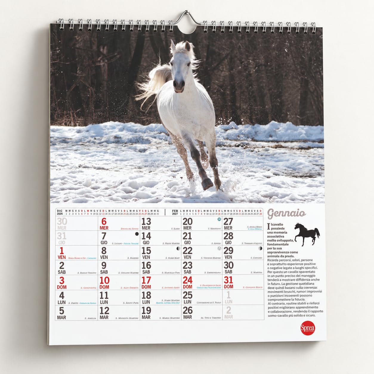 Sprea Cavalli Magnum 2027 calendario da parete 12 mesi