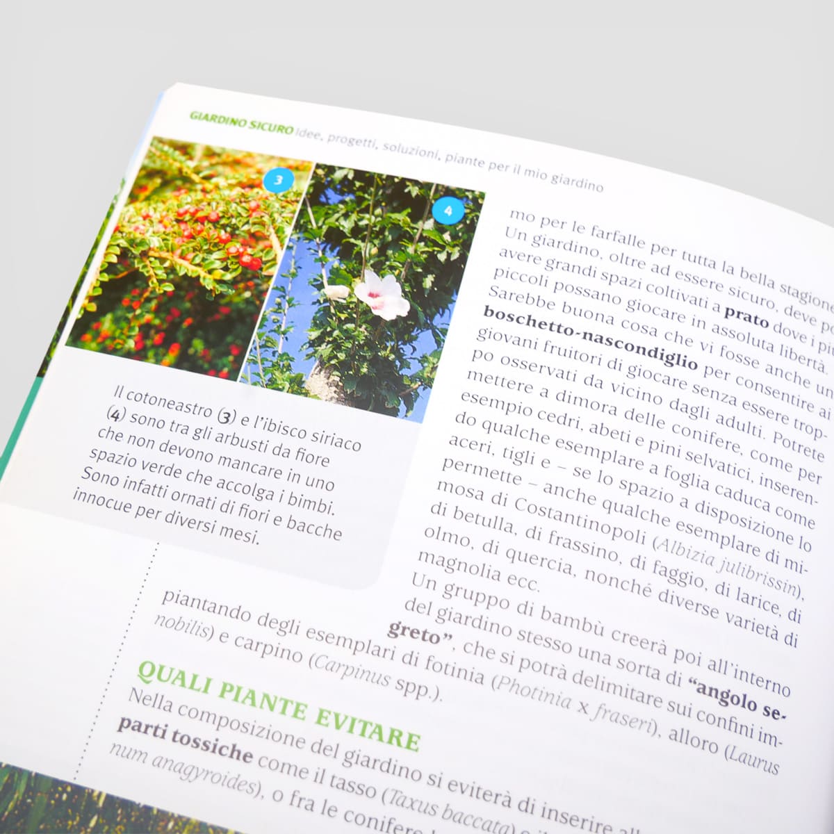Mad Giardinaggio Idee progetti piante libro giardino
