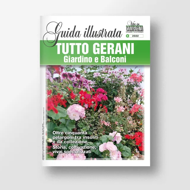 Mad Guide Illustrate Tutto gerani. Giardini e balconi guida pelargoni