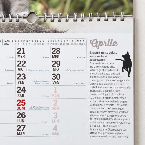 Sprea Calendario Gatti Magnum 2027 calendario parete gatti