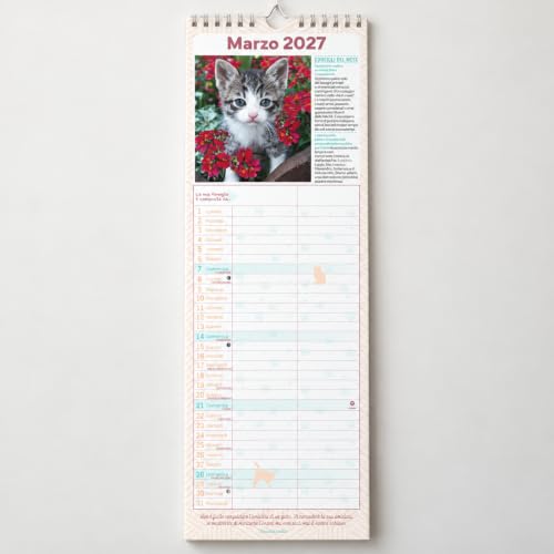 Sprea Gatti 2027 calendario agenda da muro 15x50