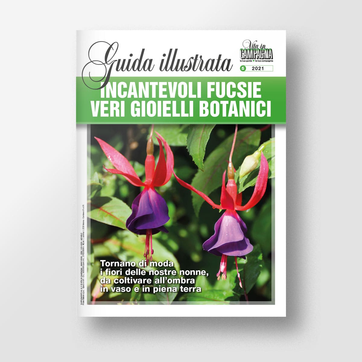 Mad Guide Illustrate Incantevoli fucsie libro coltivazione vaso