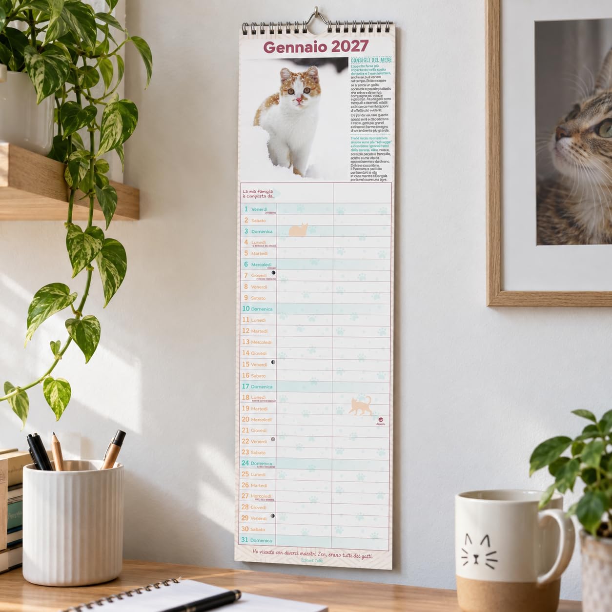Sprea Gatti 2027 calendario agenda da muro 15x50