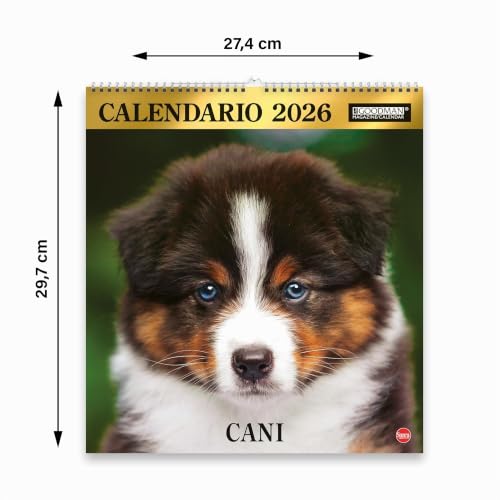 Sprea Cani Magnum 2026 calendario da parete foto razze