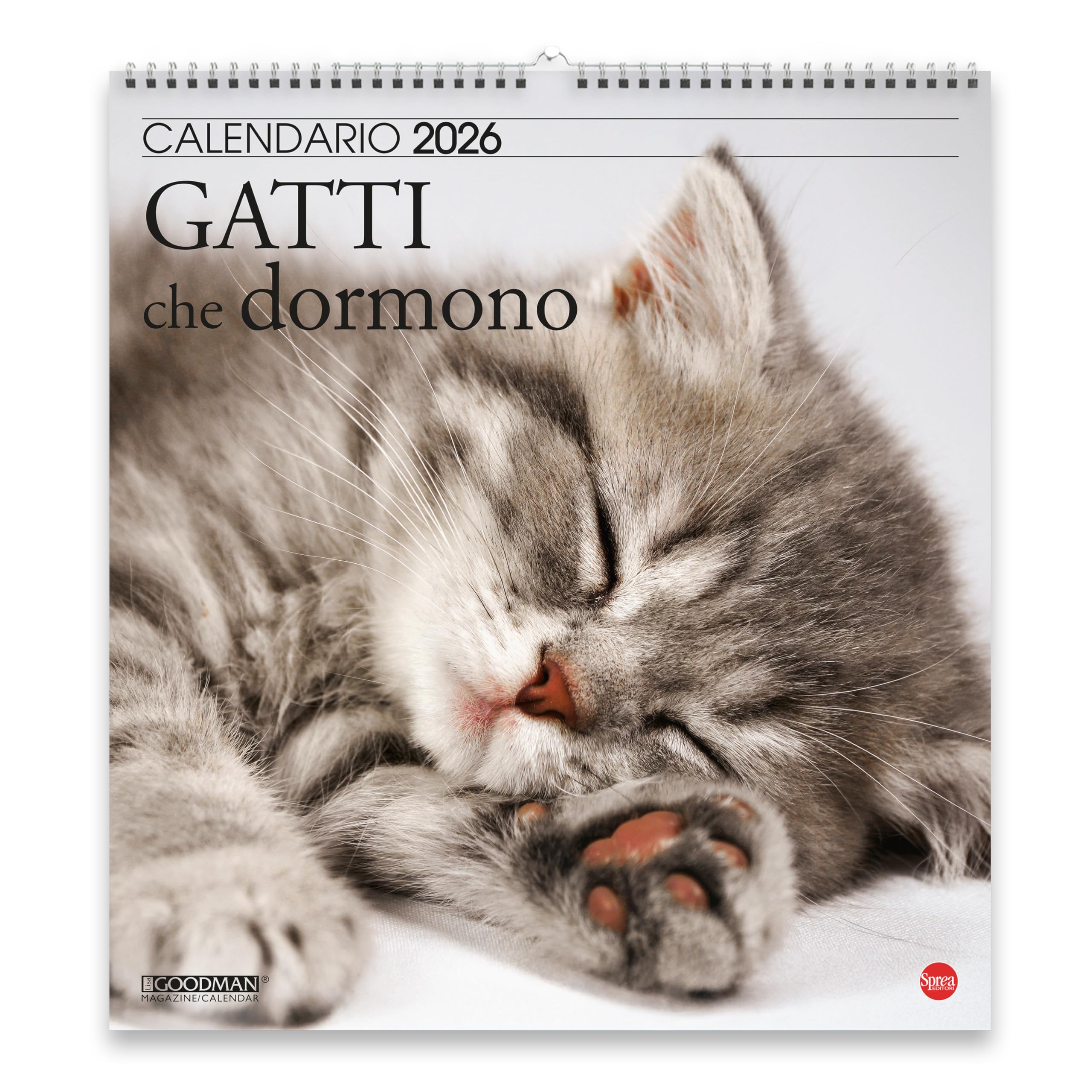 Sprea Gatti che Dormono Magnum 2026 calendario parete