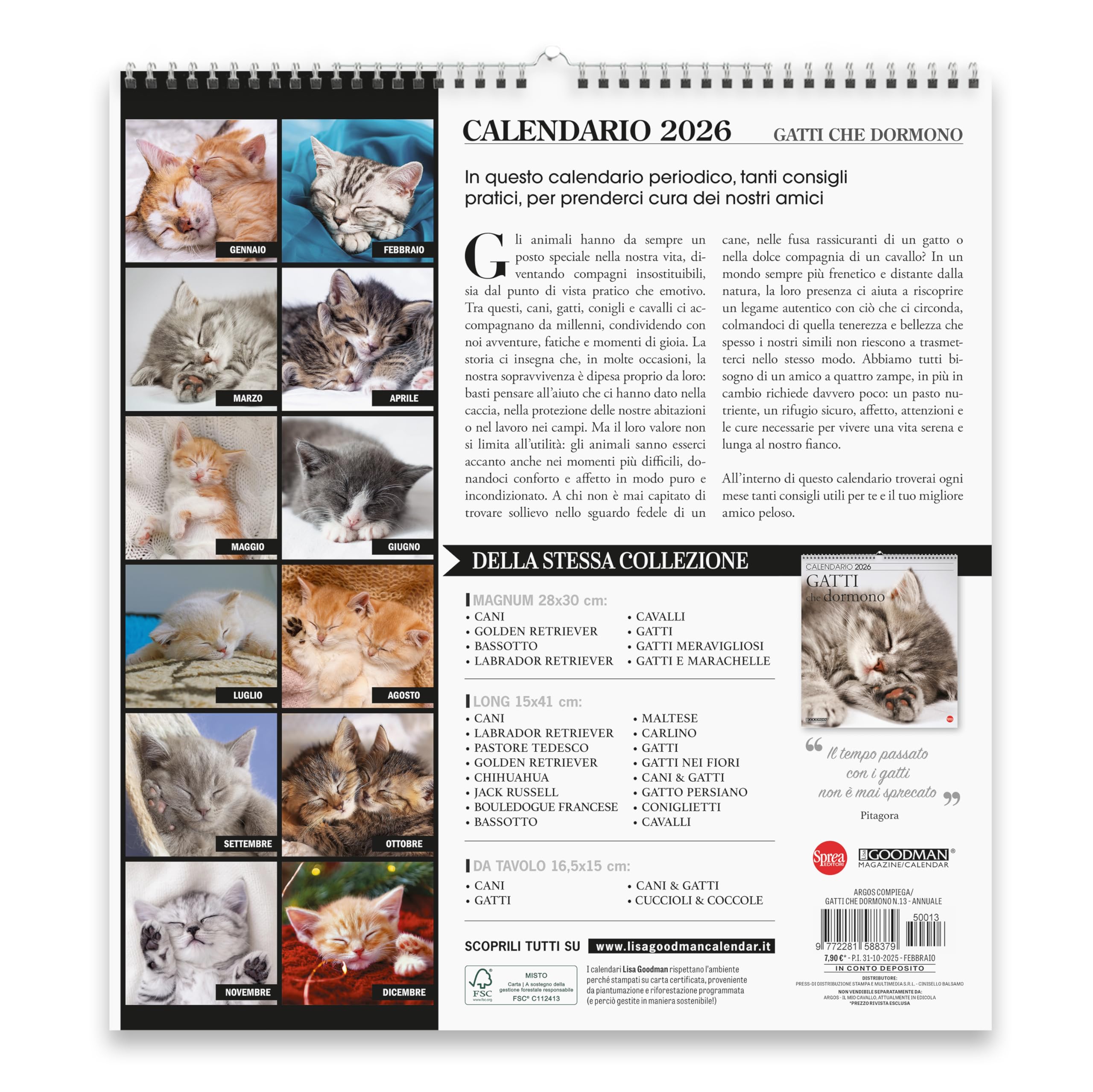 Sprea Gatti che Dormono Magnum 2026 calendario parete