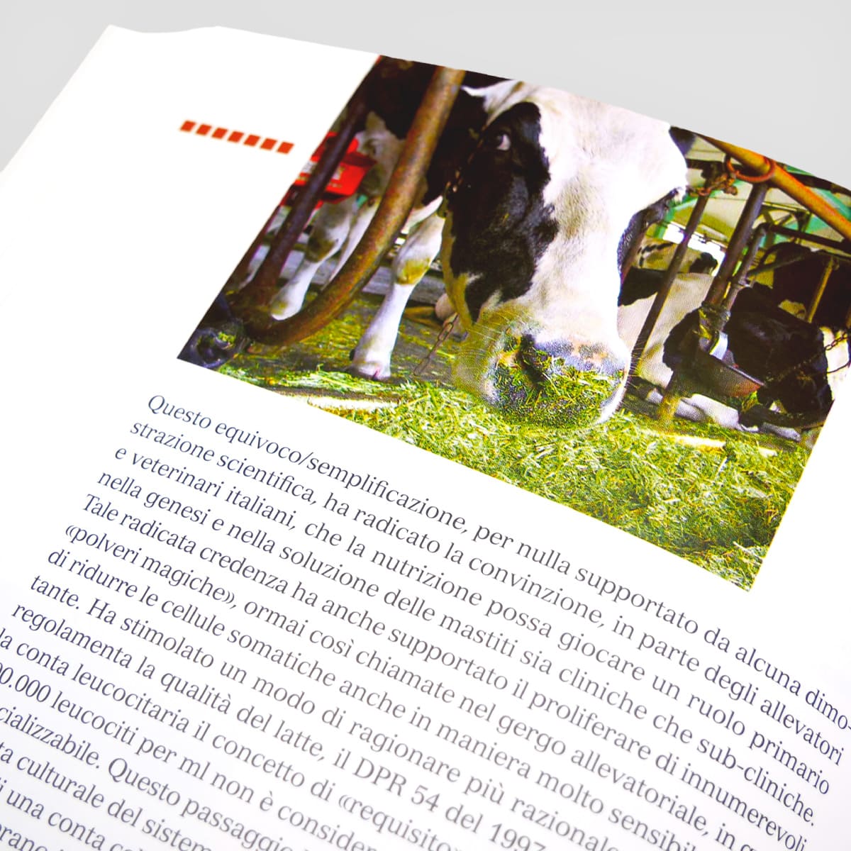 Mad Allevamenti Bovine da latte Mastite manuale stalla