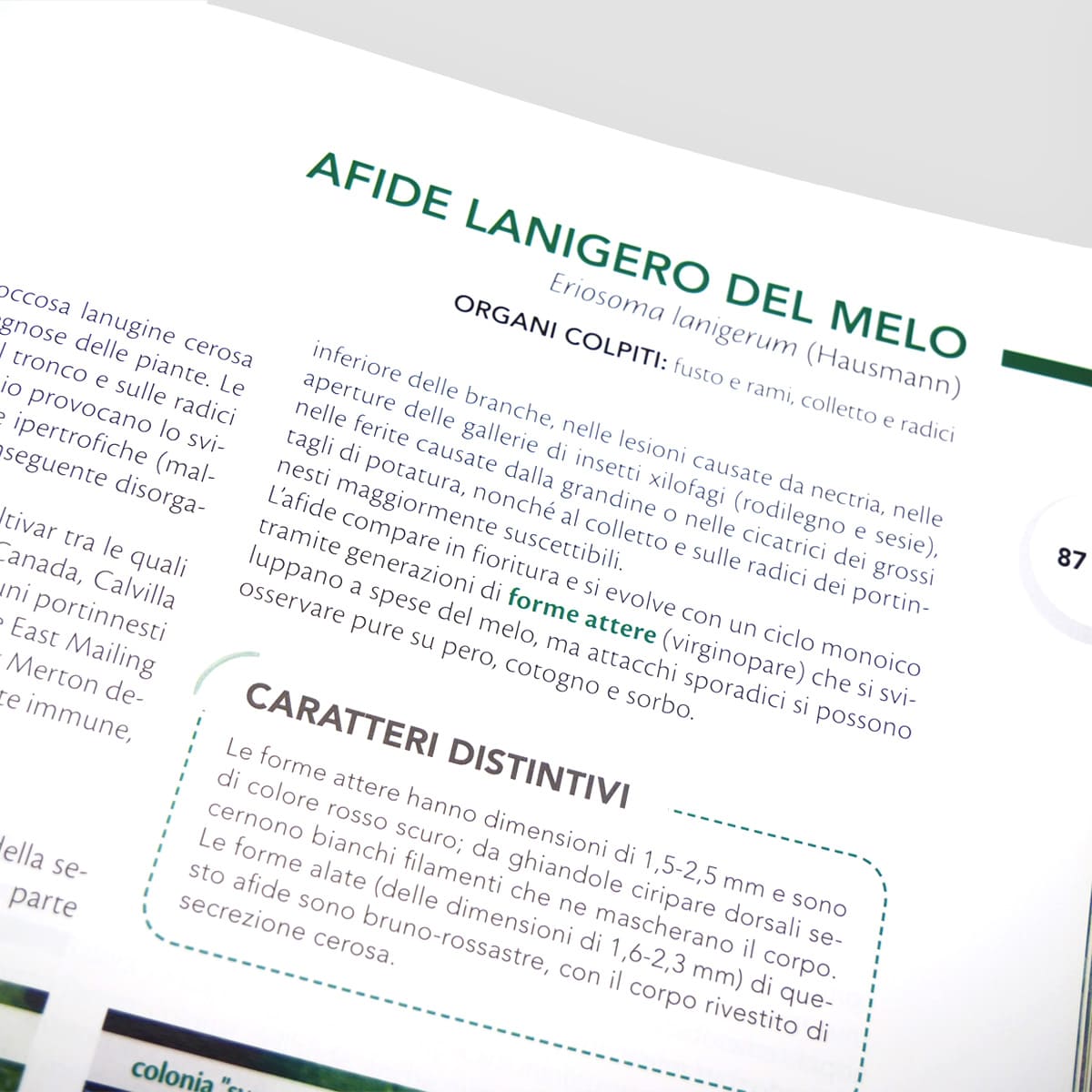 MAD Difesa Avversità melo e pero manuale fitosanitario
