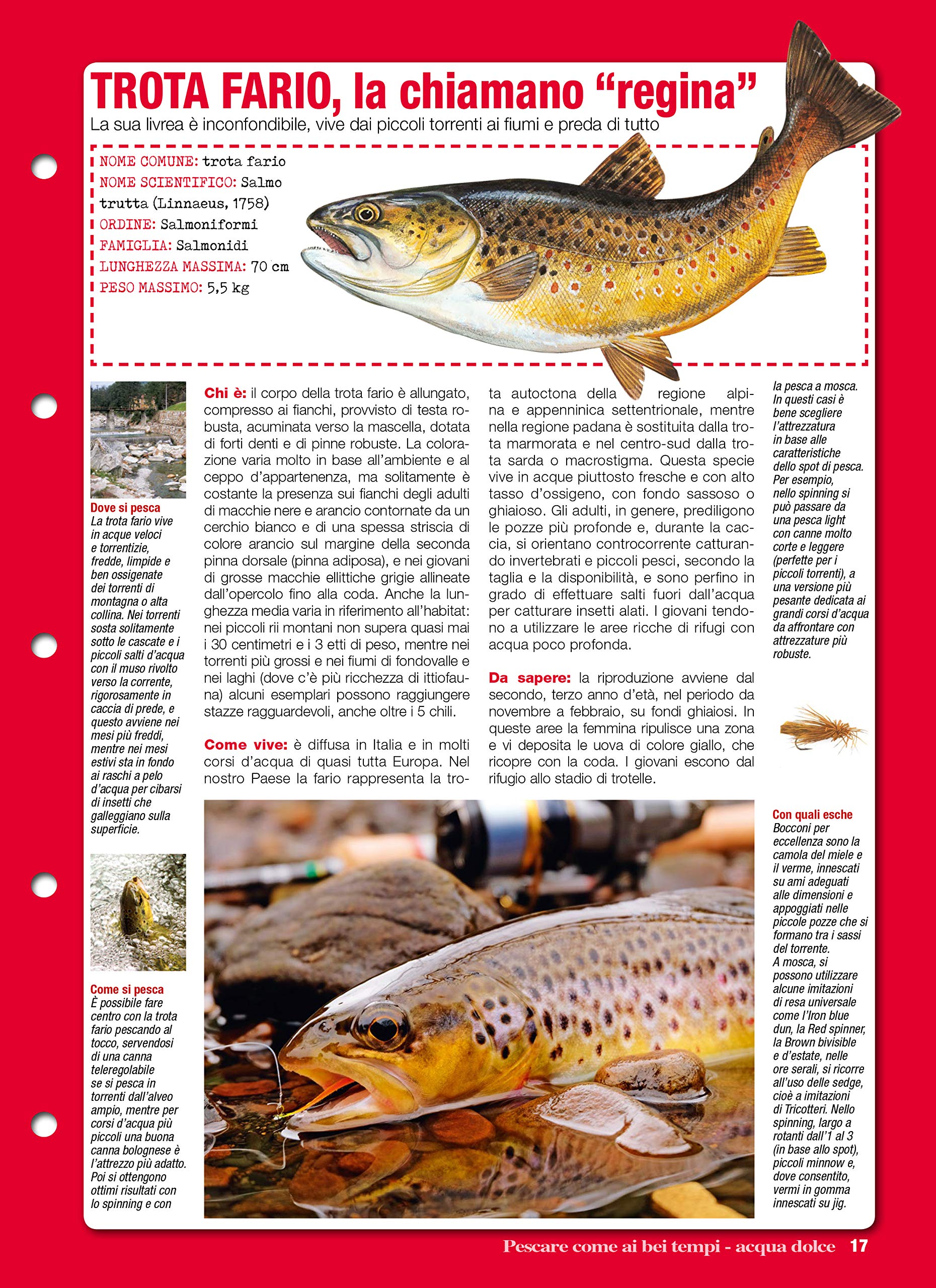 Sprea Speciali Pescare Come ai Bei Tempi rivista numero singolo
