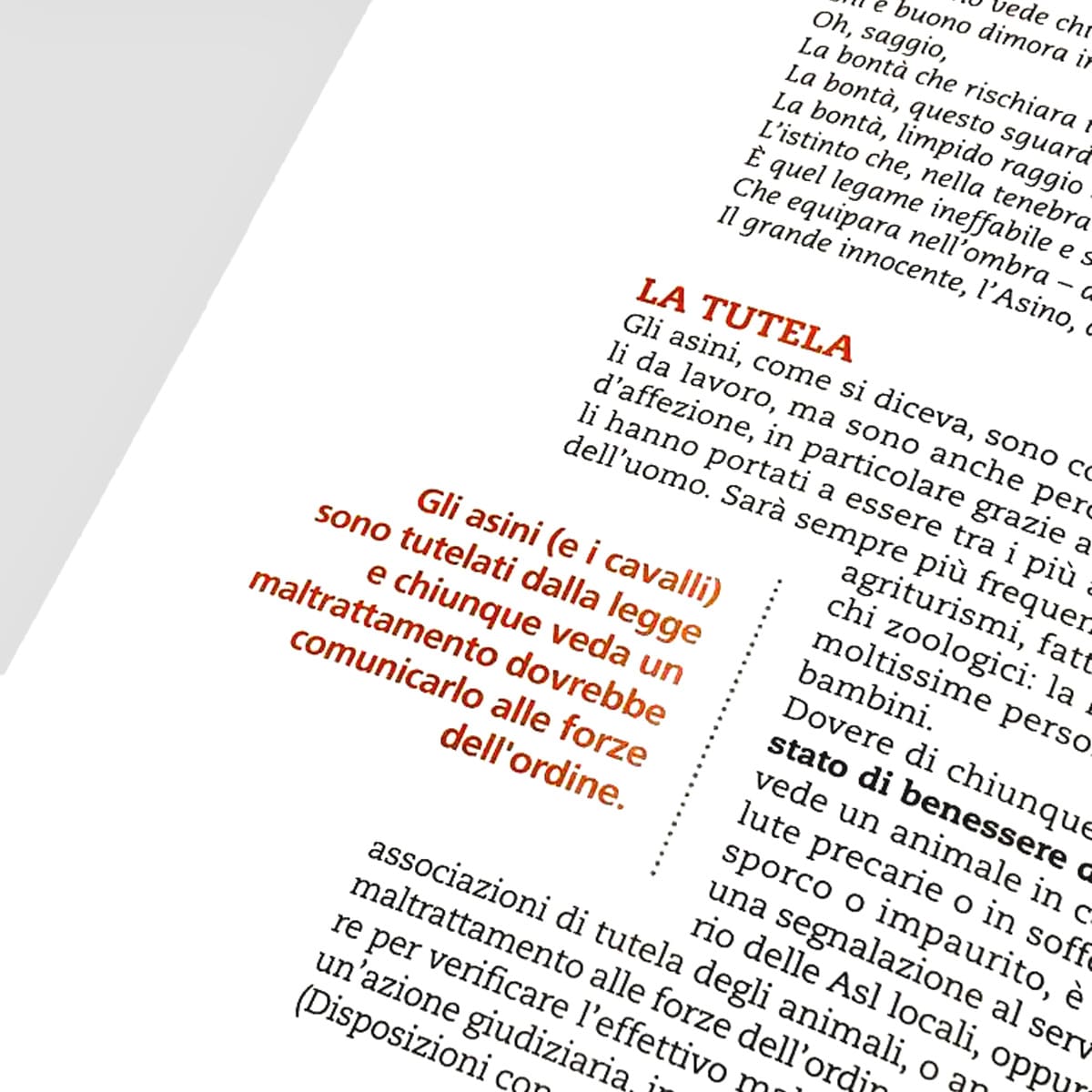Mad Allevamenti L’Asino libro allevamento trekking pet therapy