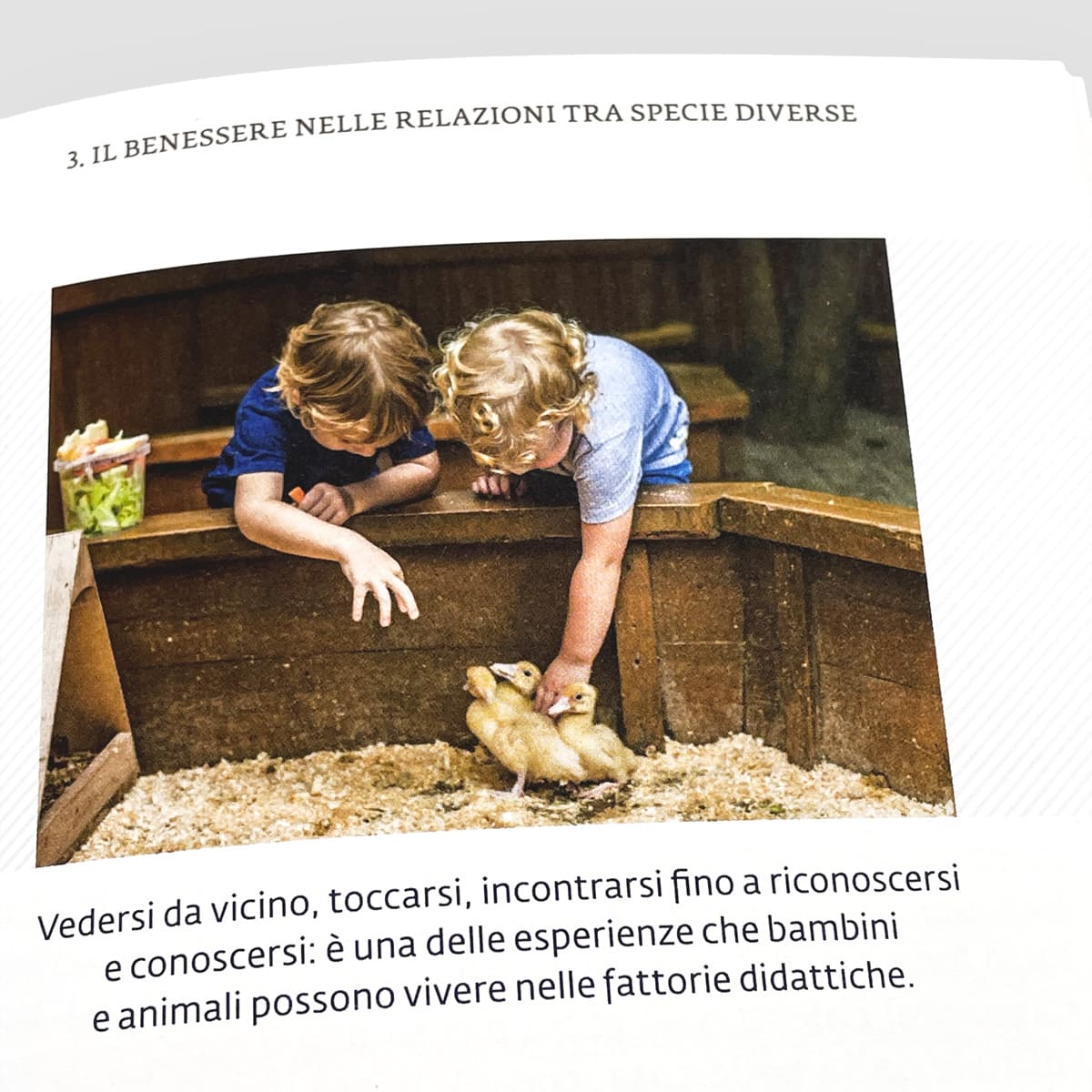 Mad Benessere Animali umani e non umani saggio storie