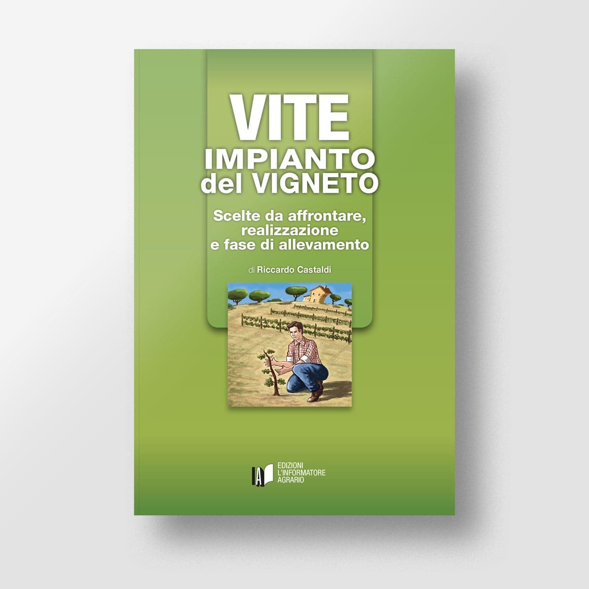MAD Viticoltura Vite Impianto del vigneto manuale viticoltori