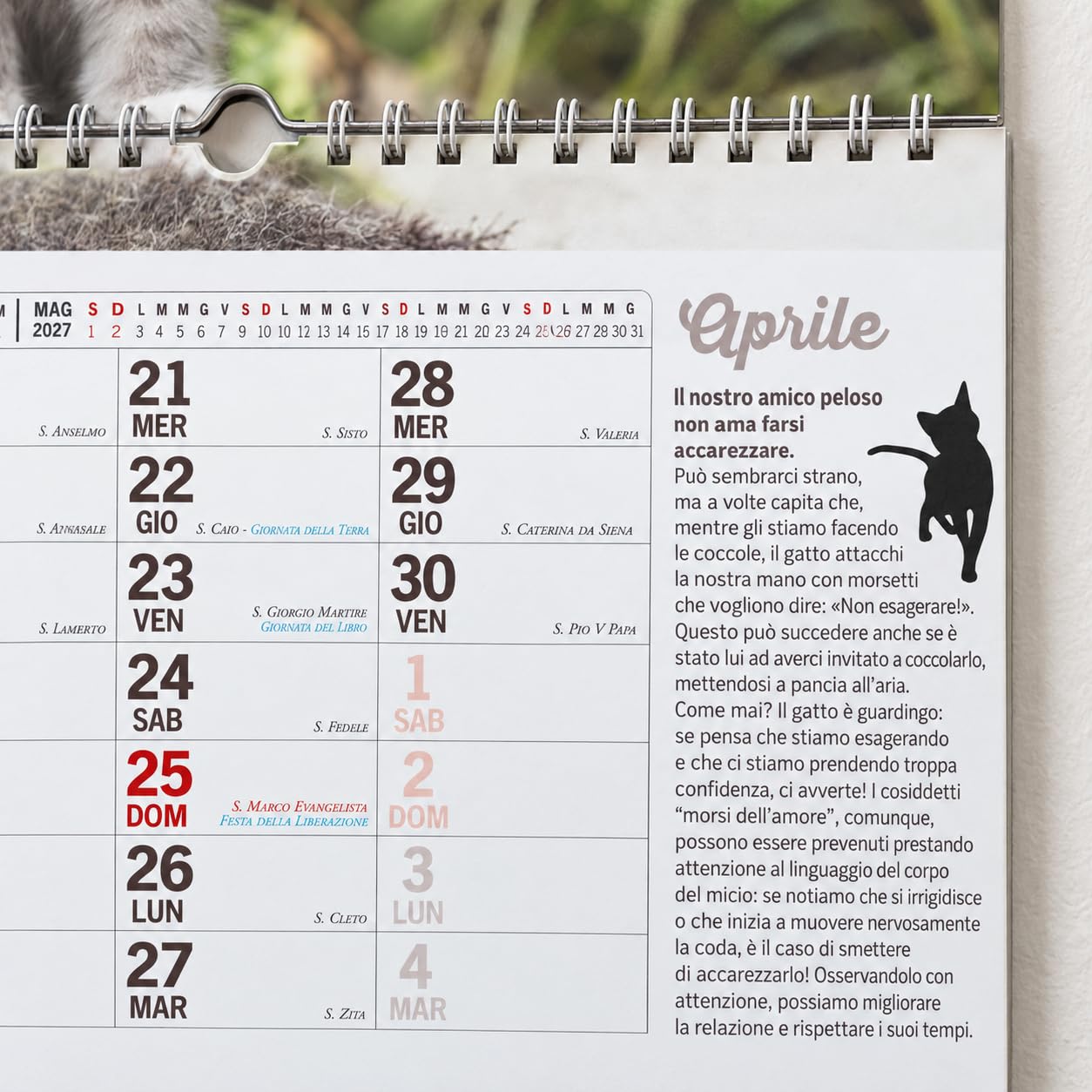 Sprea Calendario Gatti Magnum 2027 calendario parete gatti