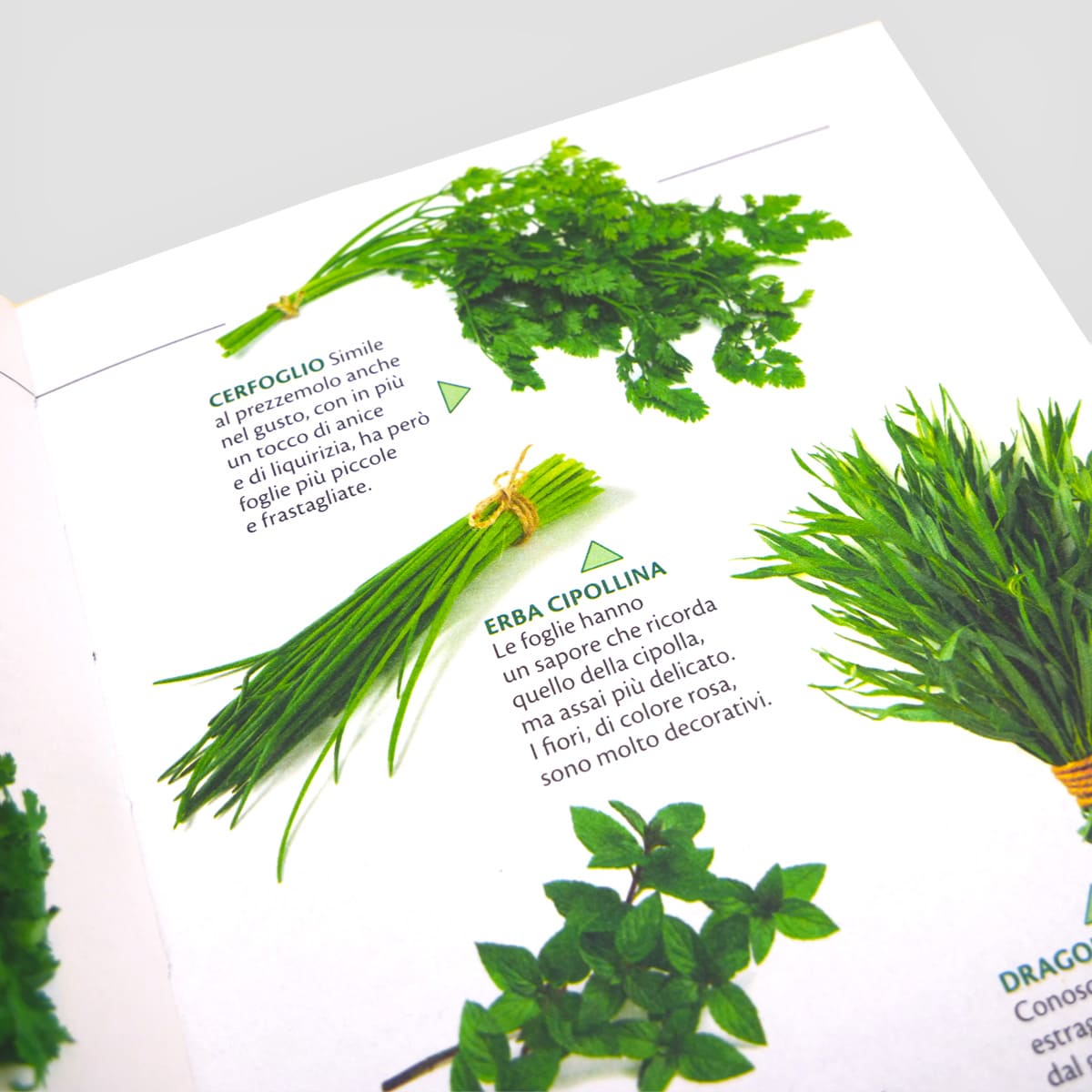 MAD Coltiva&Cucina Basilico ed erbe aromatiche libro coltivazione