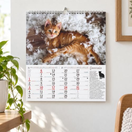 Sprea Gatti Marachelle 2027 calendario da parete 28x30