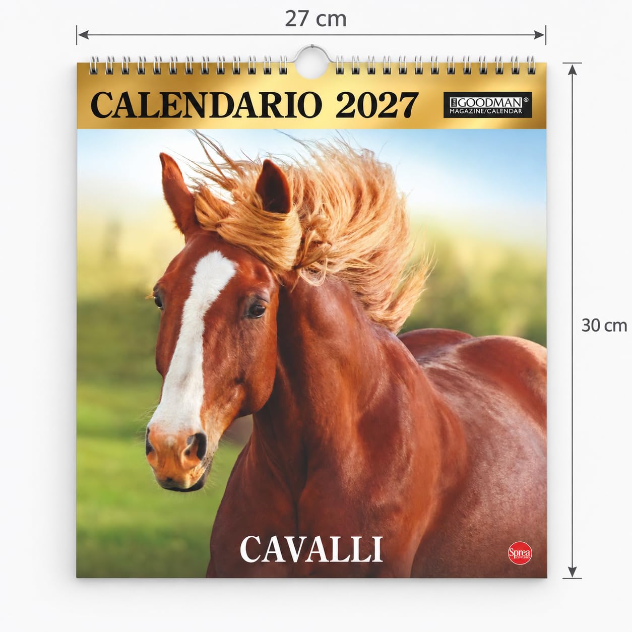 Sprea Cavalli Magnum 2027 calendario da parete 12 mesi
